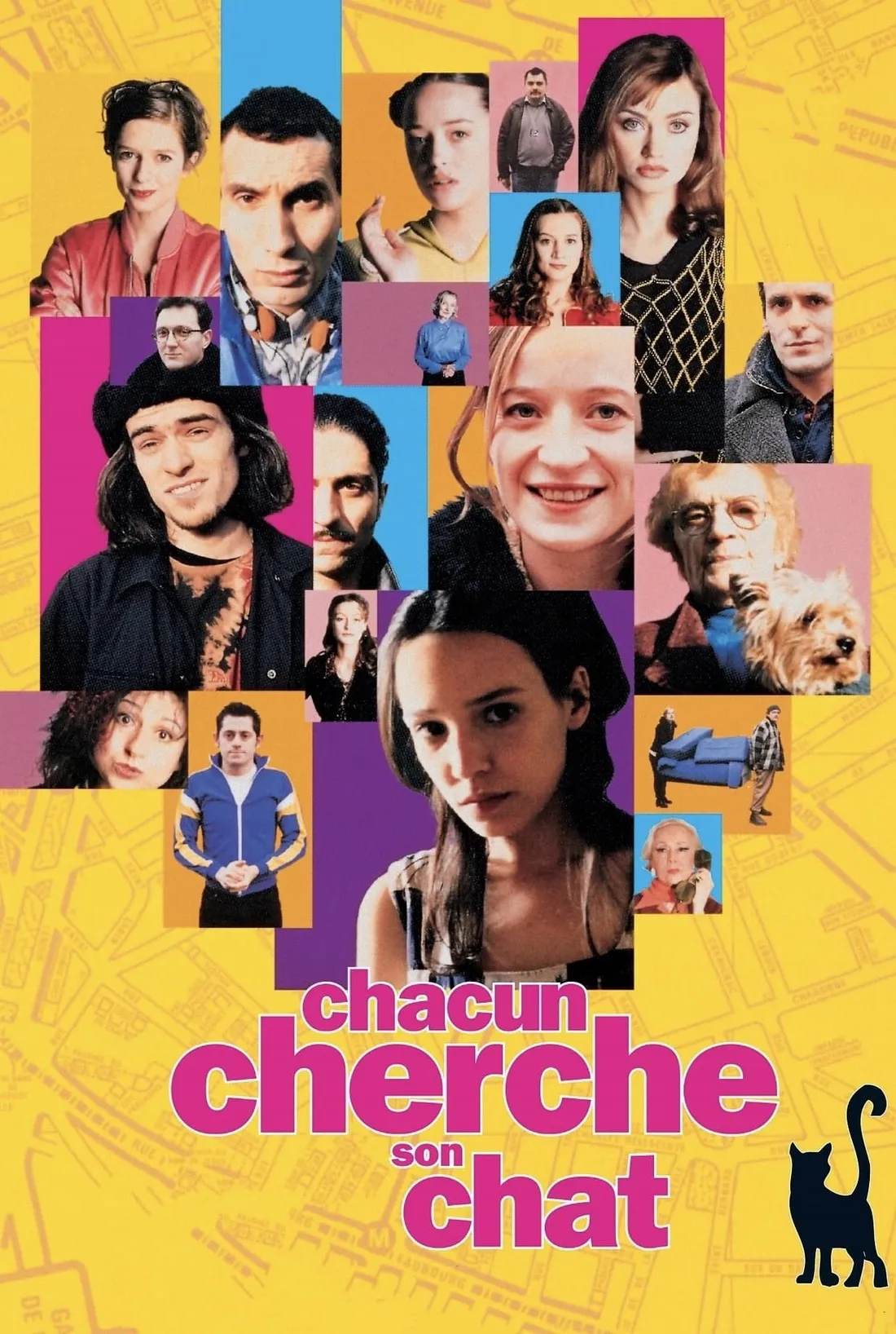 Chacun cherche son chat (1996)