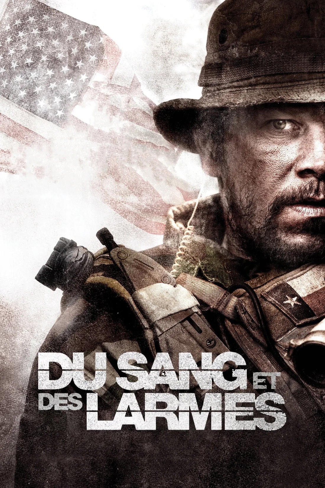 Du sang et des larmes (2013)