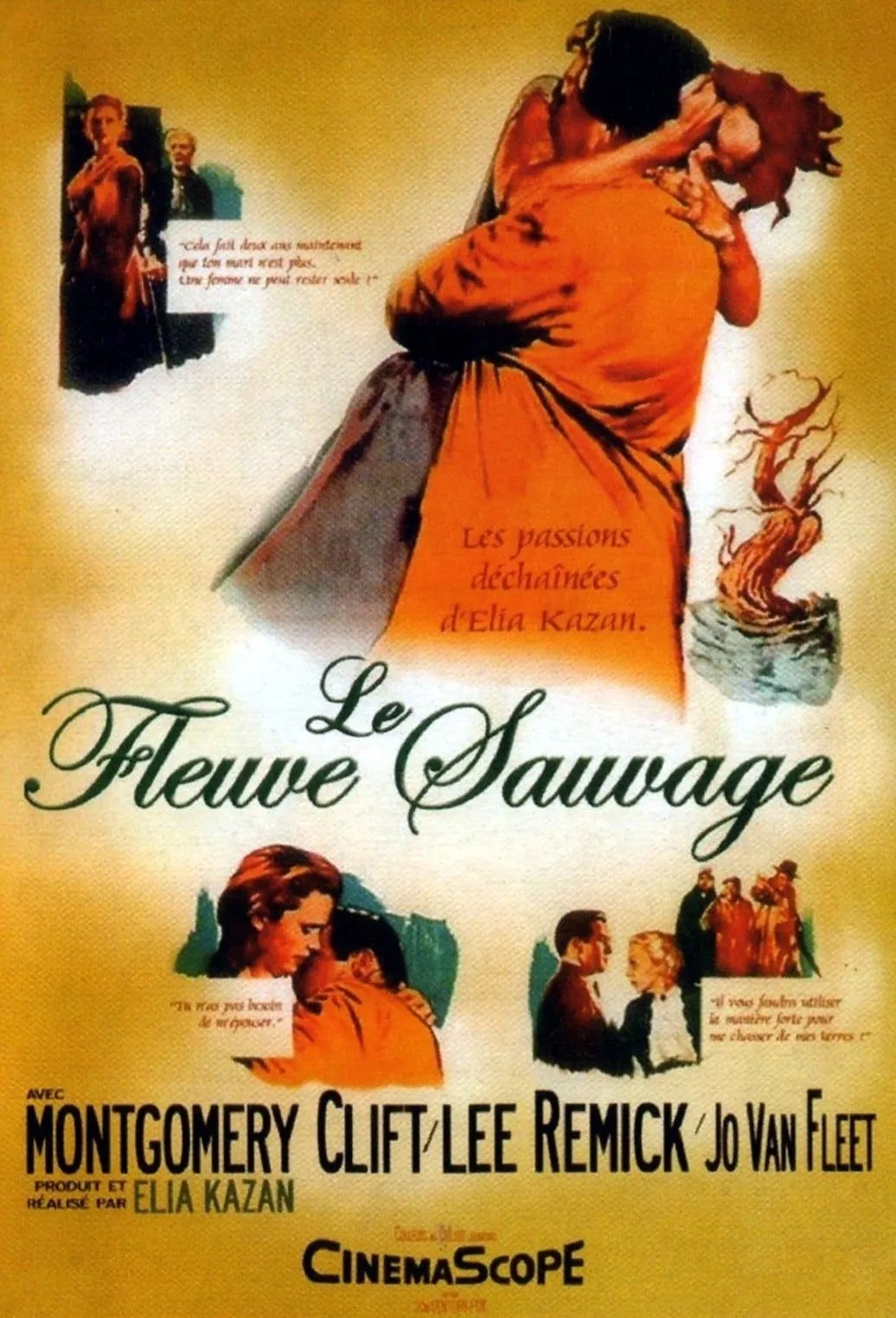 Le Fleuve sauvage (1960)
